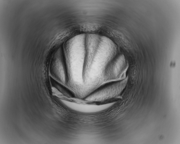 X0000098130743200805011321
