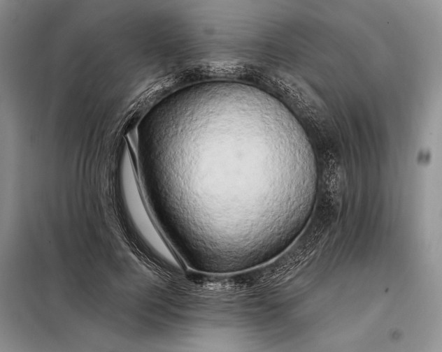 X0000098130744200805011321