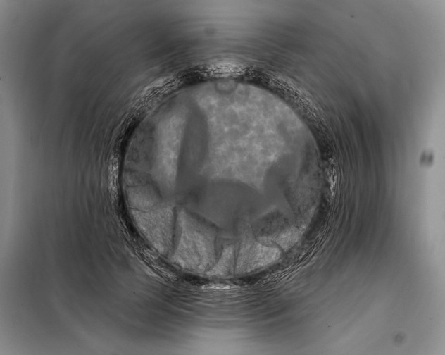 X0000098130745200805011321
