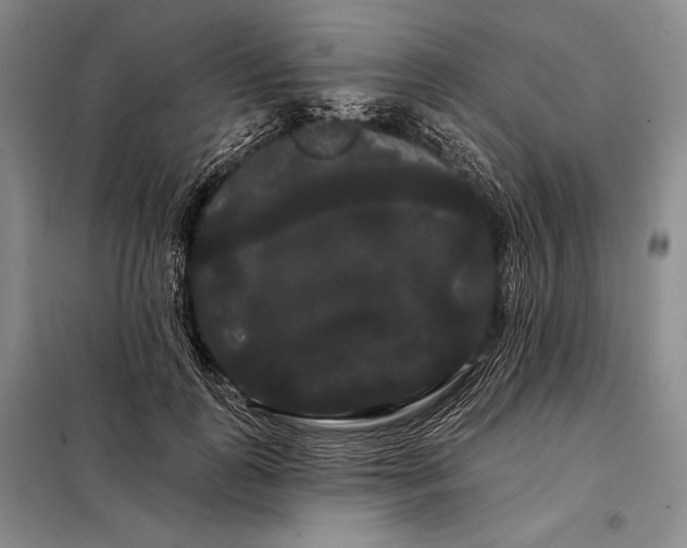 X0000098130747200805011321