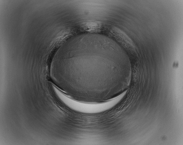 X0000098130748200805011321