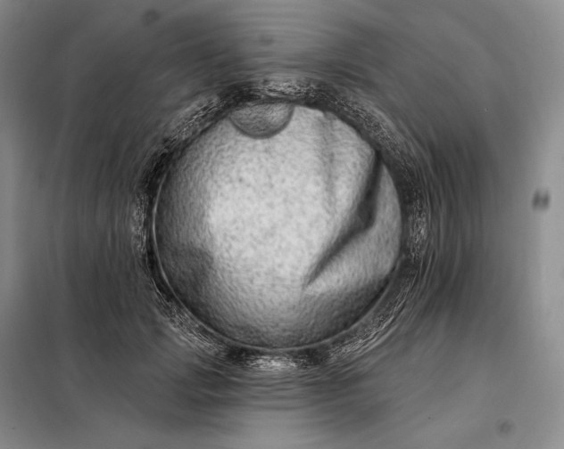X0000098130749200805011321