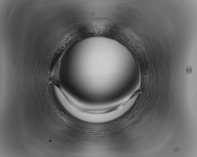 X0000098130750200805011321