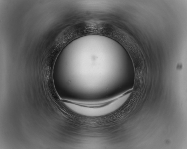 X0000098130752200805011321