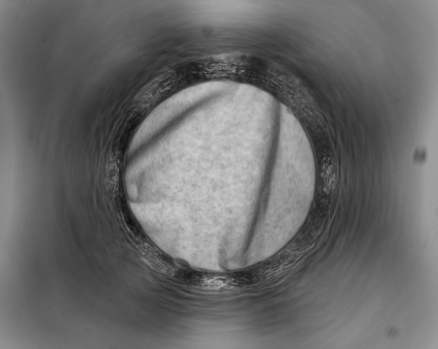 X0000098130753200805011321