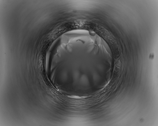 X0000098130754200805011321