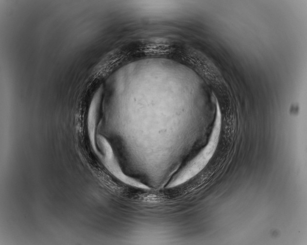 X0000098130755200805011321