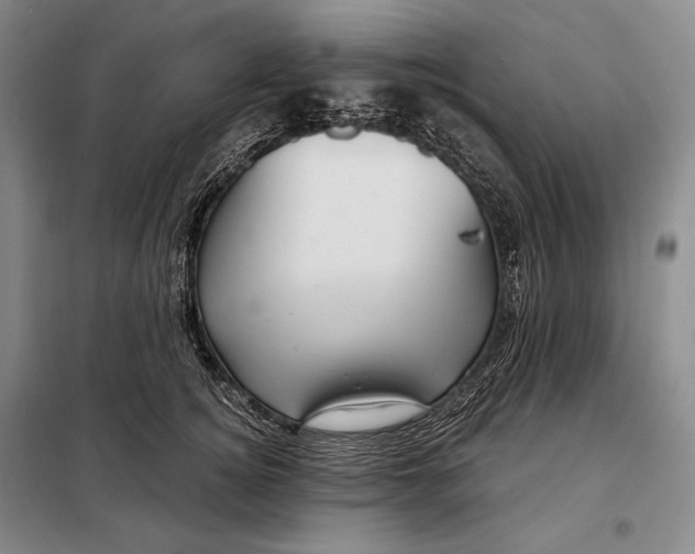 X0000098130756200805011321