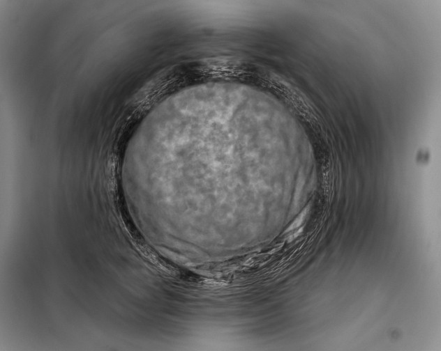 X0000098130757200805011321