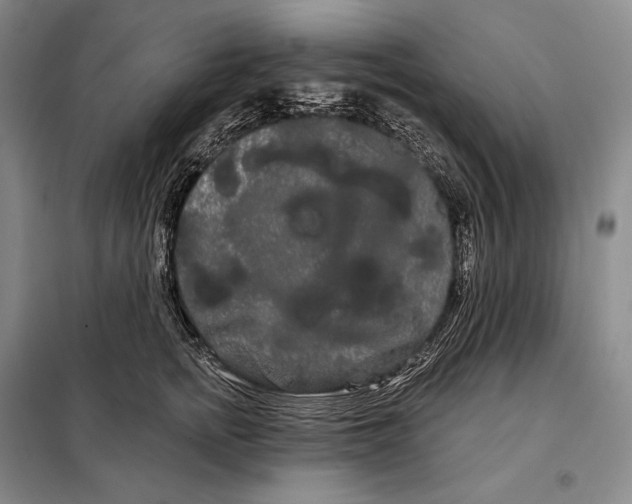X0000098130758200805011321