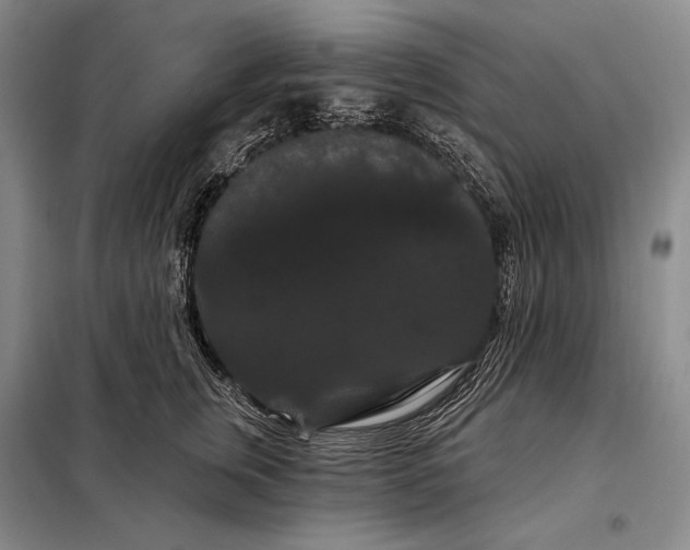 X0000098130759200805011321