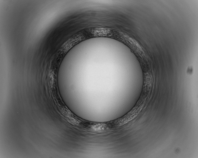 X0000098130761200805011321
