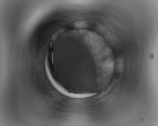 X0000098130762200805011321