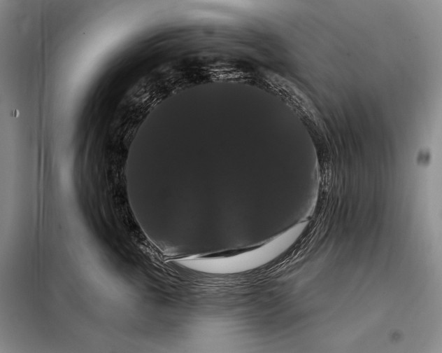 X0000098130763200805011321