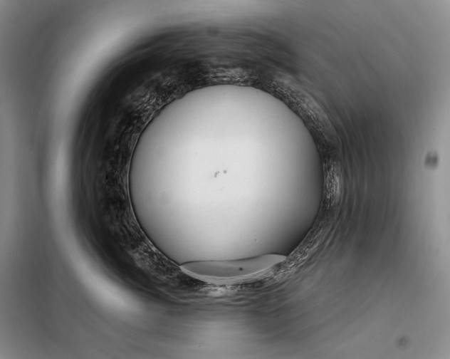X0000098130764200805011321