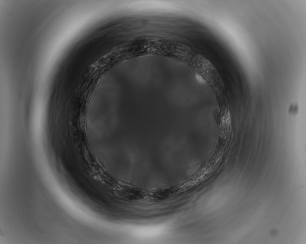 X0000098130765200805011321