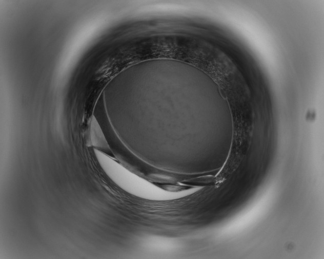 X0000098130766200805011321