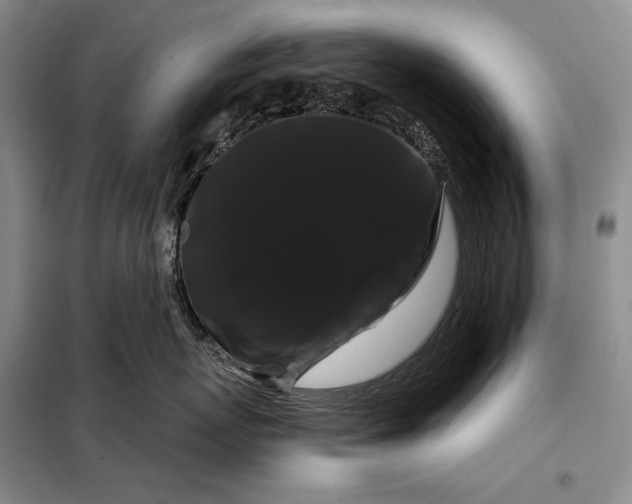 X0000098130767200805011321