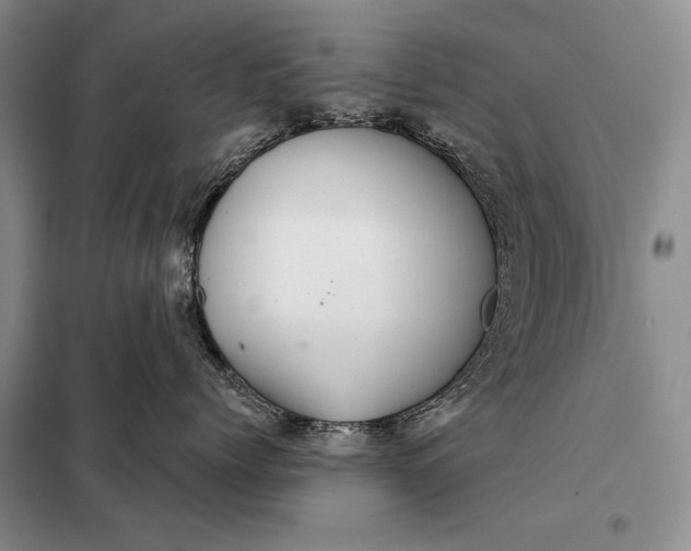 X0000098130768200805011321