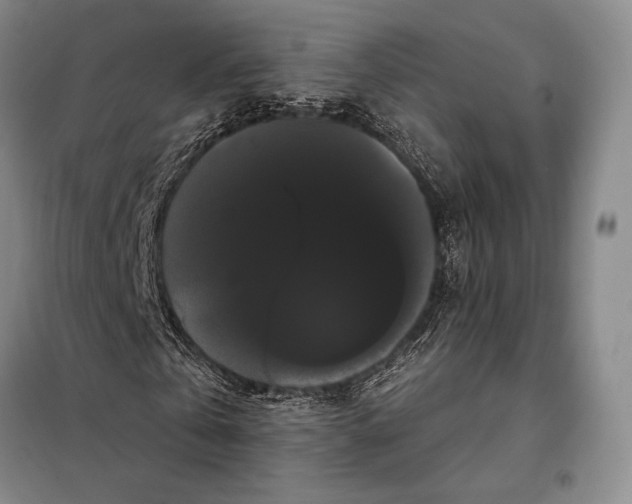 X0000098130769200805011320