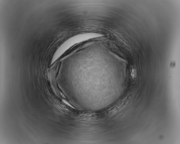 X0000098130771200805011320