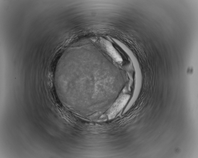 X0000098130772200805011320