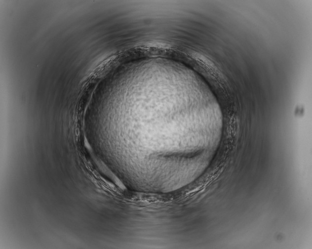 X0000098130774200805011320