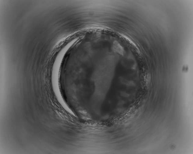 X0000098130775200805011320