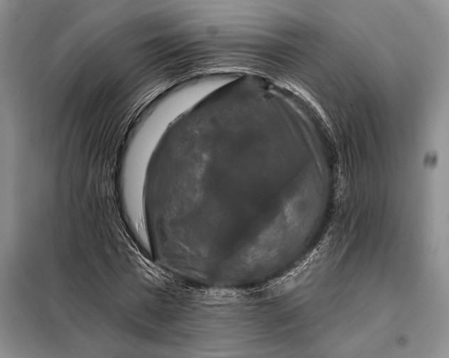 X0000098130777200805011320