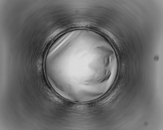 X0000098130778200805011320