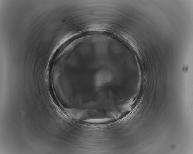 X0000098130779200805011320