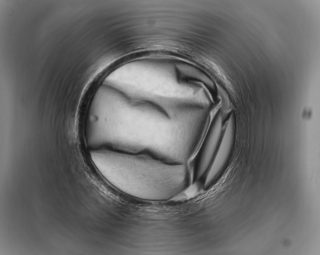 X0000098130780200805011320