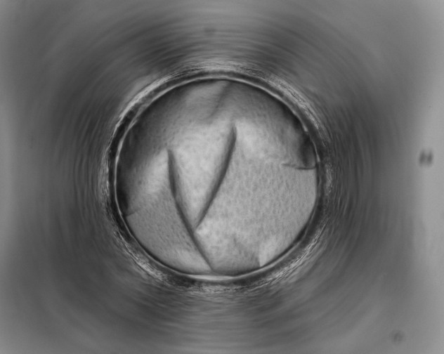 X0000098130782200805011320