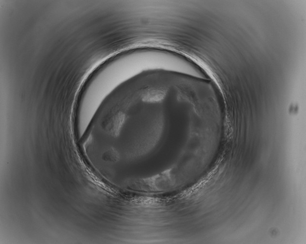 X0000098130783200805011320