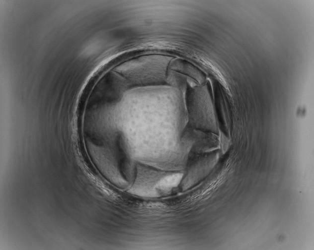 X0000098130784200805011320