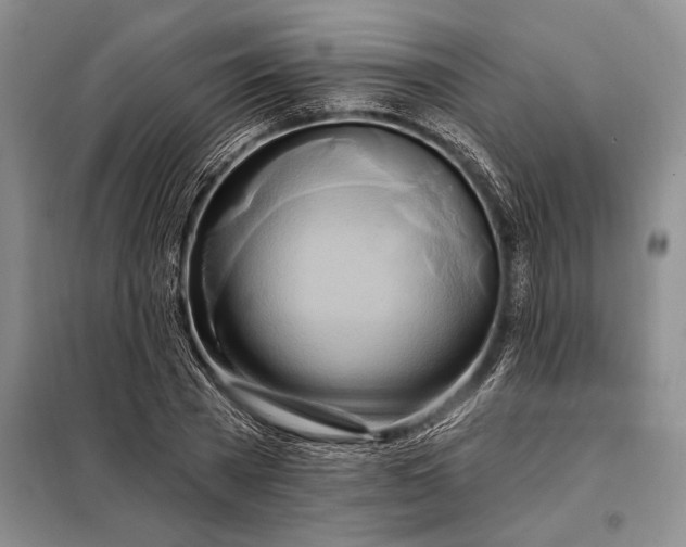 X0000098130785200805011320