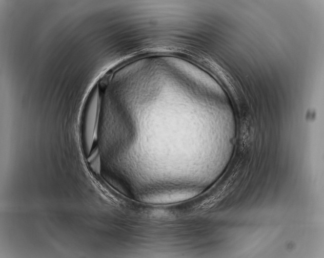 X0000098130787200805011320