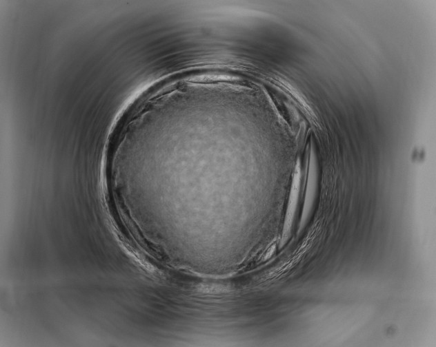 X0000098130788200805011320