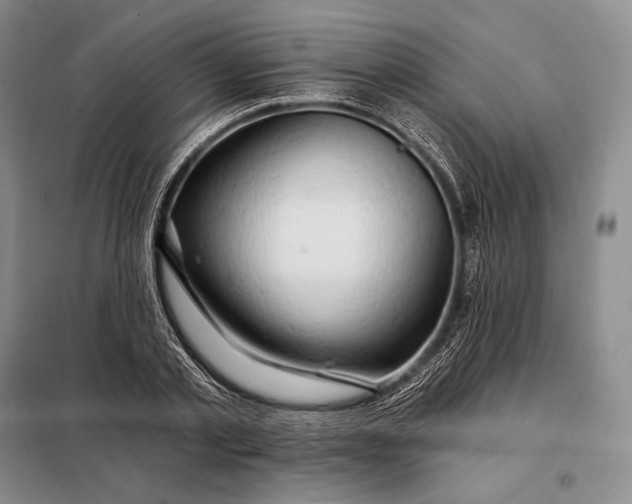 X0000098130789200805011320