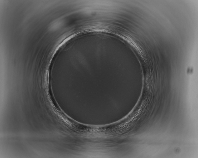X0000098130790200805011320