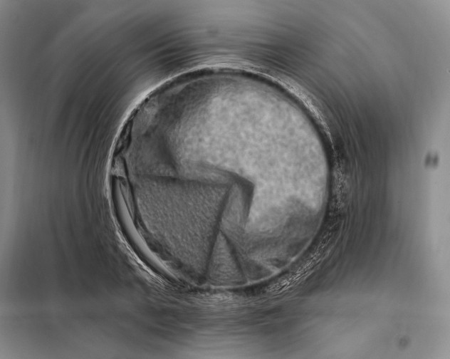 X0000098130791200805011320
