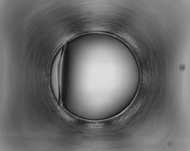 X0000098130793200805011320