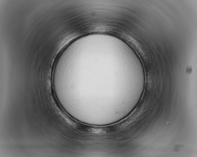 X0000098130794200805011320