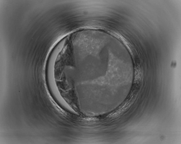 X0000098130795200805011320