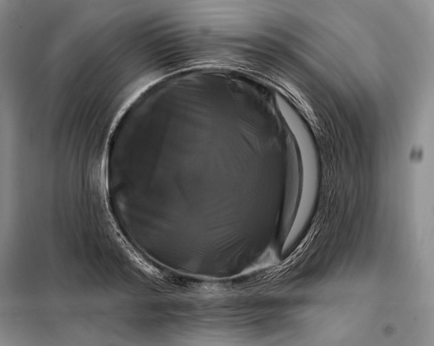 X0000098130796200805011320