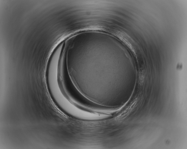 X0000098130797200805011320