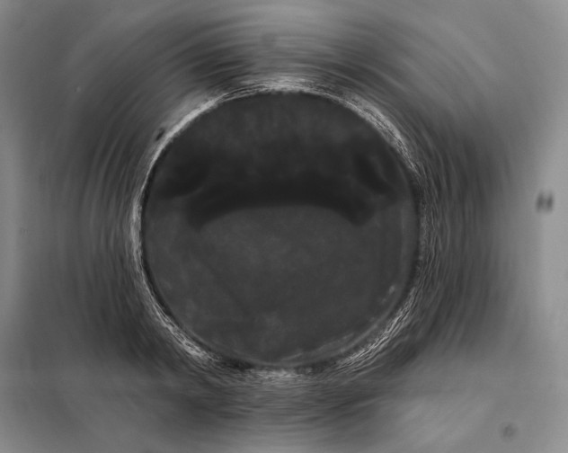 X0000098130798200805011320