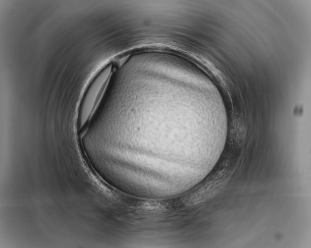 X0000098130799200805011320