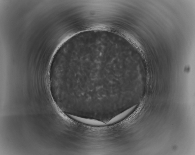 X0000098130800200805011320