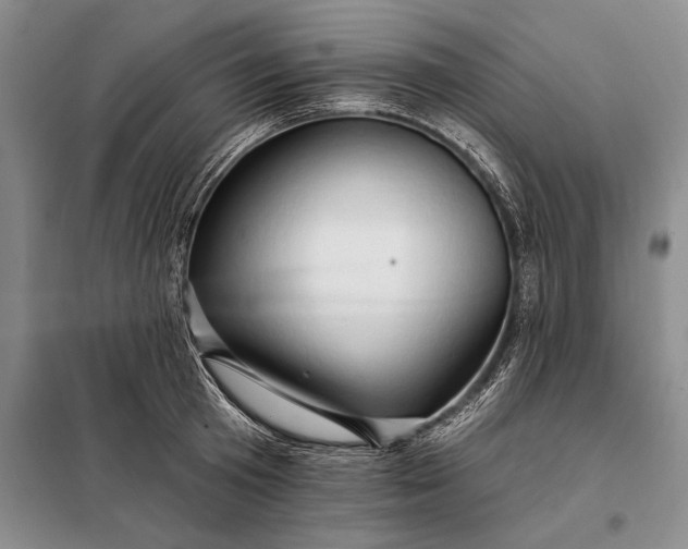 X0000098130801200805011320